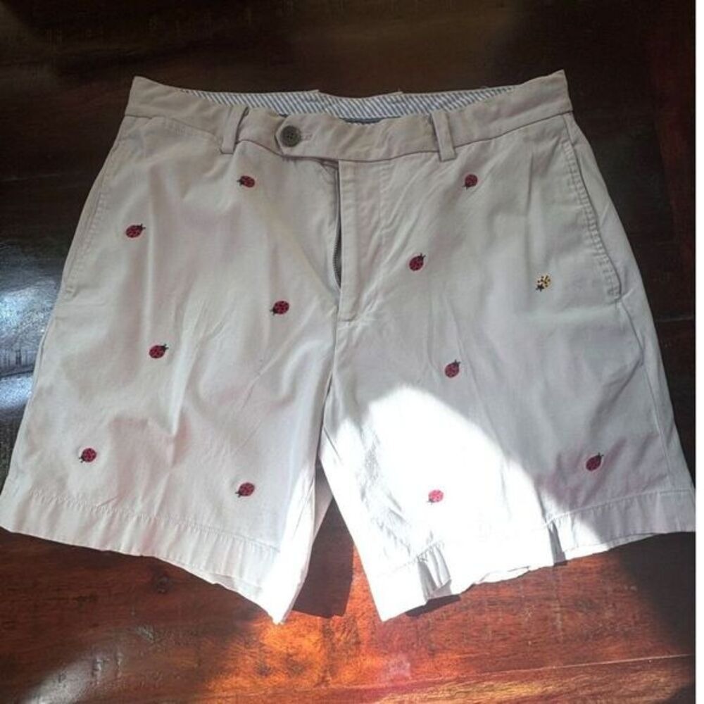 Brooks Brothers | Bermuda Men's Shorts | Tan with Ladybugs | Waist 34 | SKU299‎
